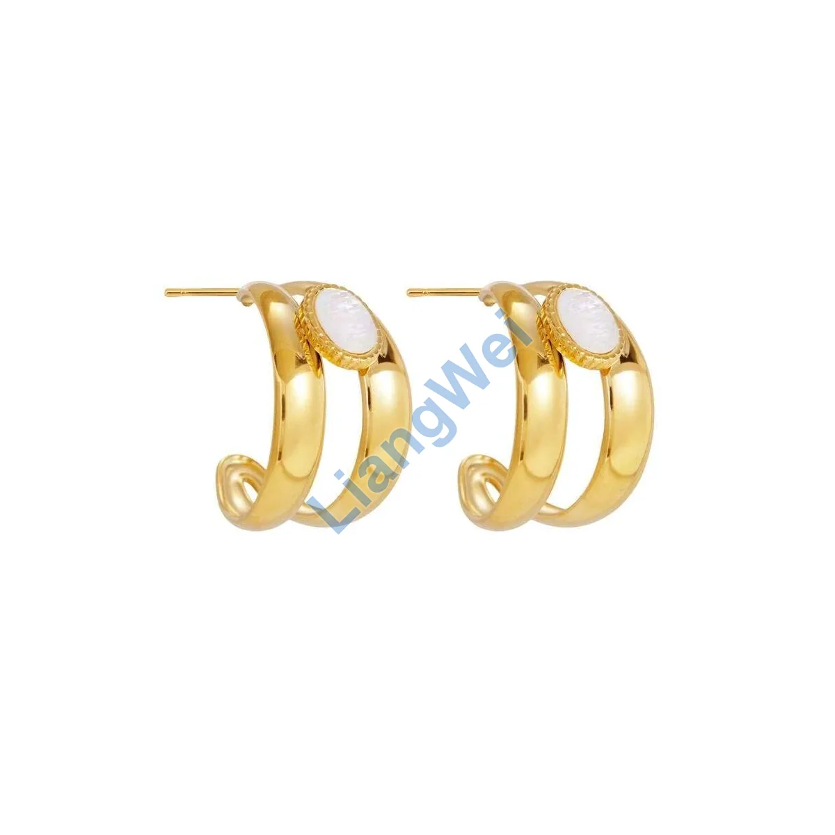 Fashion Statement Earrings 061