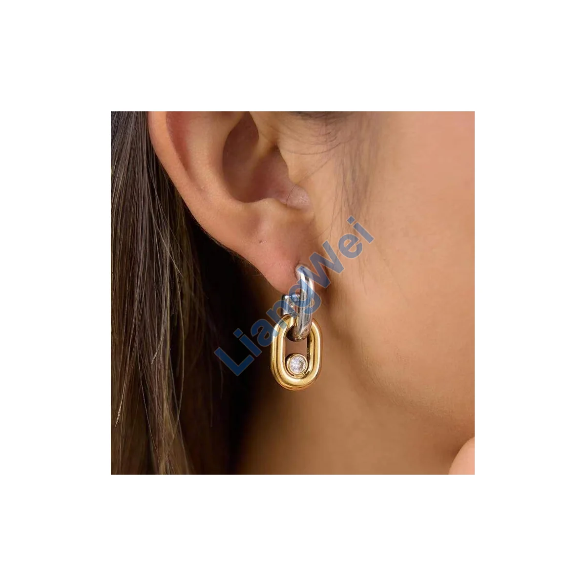 Fashion Statement Earrings 116