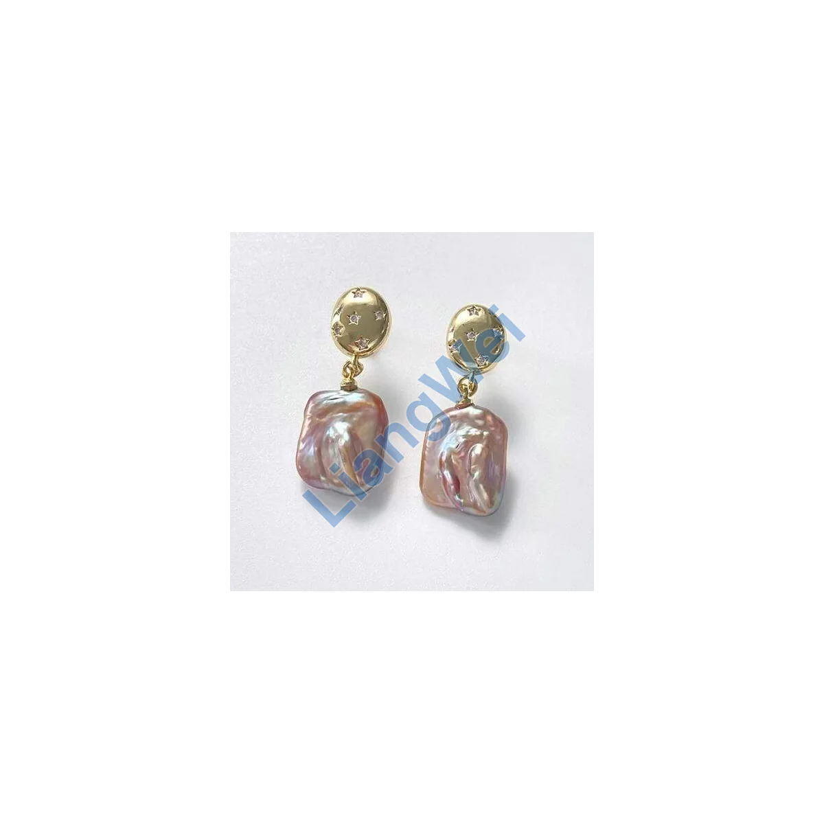 Fashion Statement Earrings 195